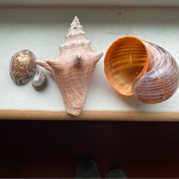 She’ll cluster - Picture 9 of 9